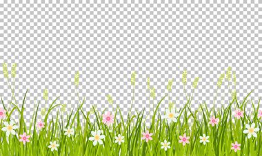 Bahar çimenleri ve çiçeklerin sınırı, Paskalya tebrik kartı dekorasyonu, şeffaf arkaplanda izole edilmiş resimler