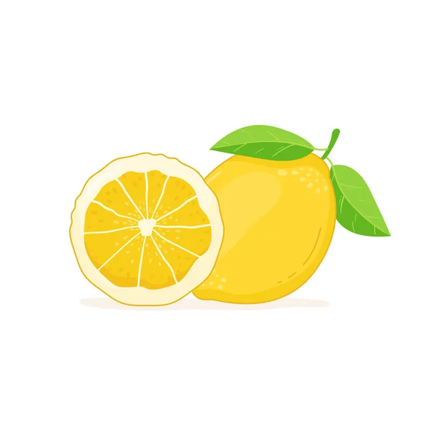 Lemon Leaves Isolated White Background — Stock Vector