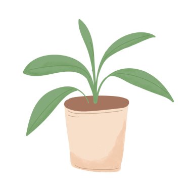 Moda saksı bitkileri, el yapımı dekoratif ev bitkileri.