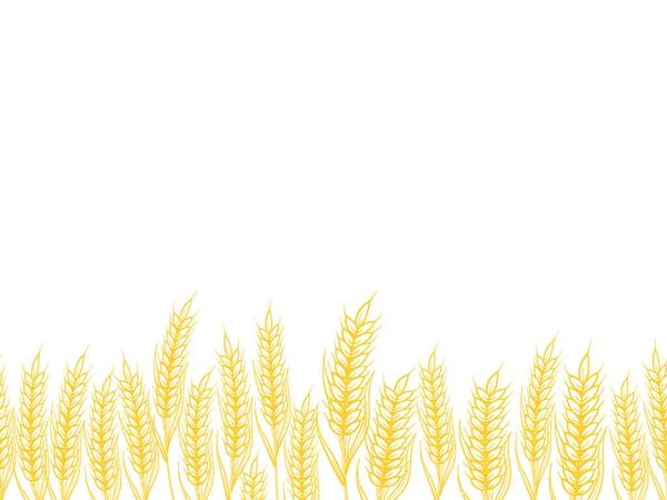 Seamless Pattern Barley Background Wheat Field — Stock Vector