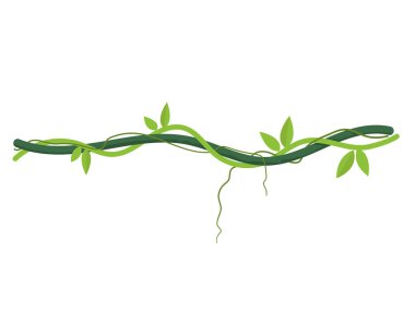 Twisted wild lianas branches, jungle liana with leaves