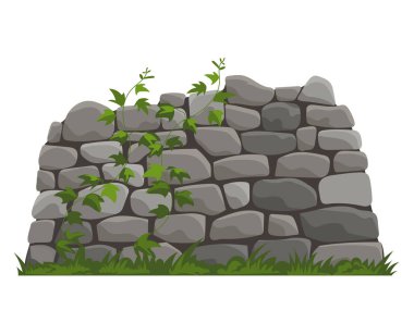 Yeşil sarmaşık bitkileriyle kaplı eski gri taş duvar