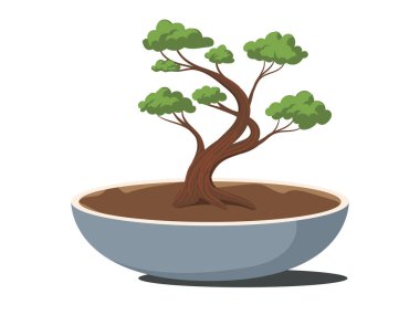 Japon bonsai ağacı, doğa bonsai dekoratif element