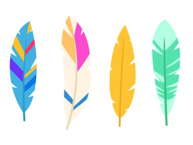 Kuş tüyü koleksiyonu, egzotik renkli tüy