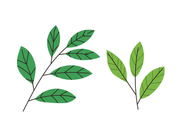 Green leaves, leaf branch, nature decoration leafy stem