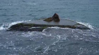 Kayalara vuran dalgalarin video ruzgarli havada deniz cekimi 