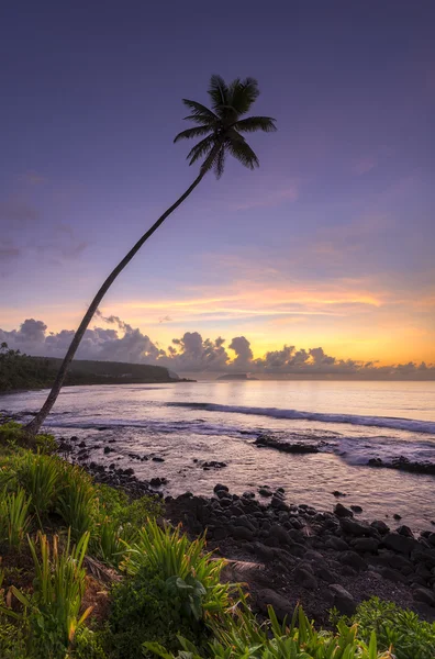 Vacker soluppgång över havet — Stockfoto
