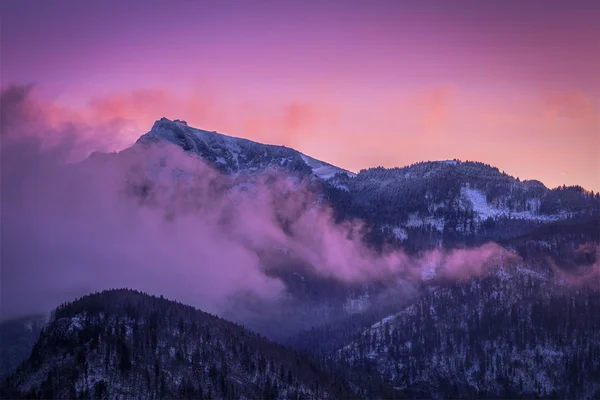 Párás hegycsúcsok rózsaszín ködben — Stock Fotó