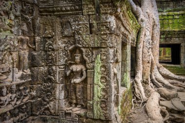 Ta Phrom Tapınağı, Kamboçya