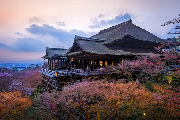 Treetop świątyni, Kyoto — Zdjęcie stockowe