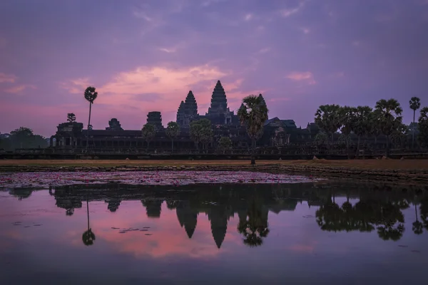 Angkor Wat, Cambodia — Stok fotoğraf