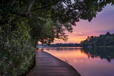 Sakin olay yerinde Macritchie rezervuar