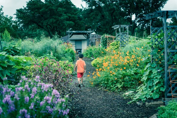 Vintage ton heureux asiatique tout-petit garçon courir le long des buissons de fleurs multicolores en fleur au jardin communautaire — Photo