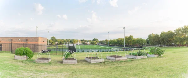 Panoramische rij van verhoogd bed tuin en voetbalveld op de achtergrond op de basisschool in de VS — Stockfoto