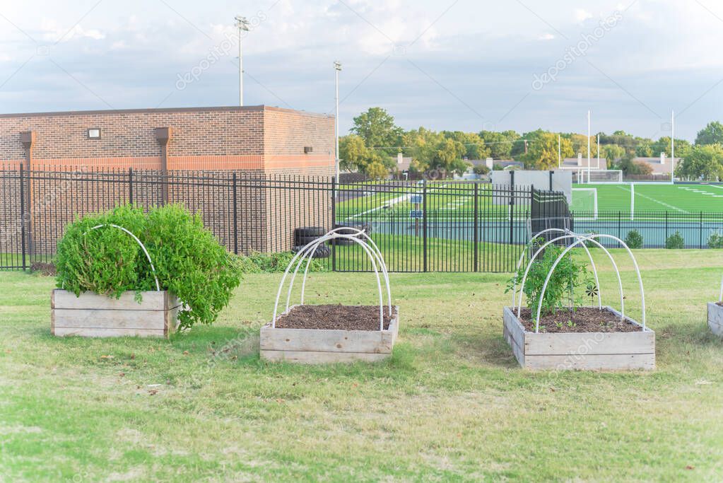 Wooden raised bed garden with PVC pipe cold frame support and football field in background at Texas, USA