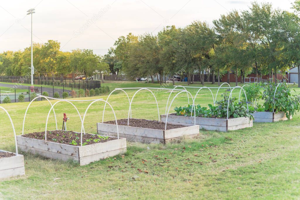 Raised bed garden with PVC pipe cold frame support and running tracks in background at elementary school in USA