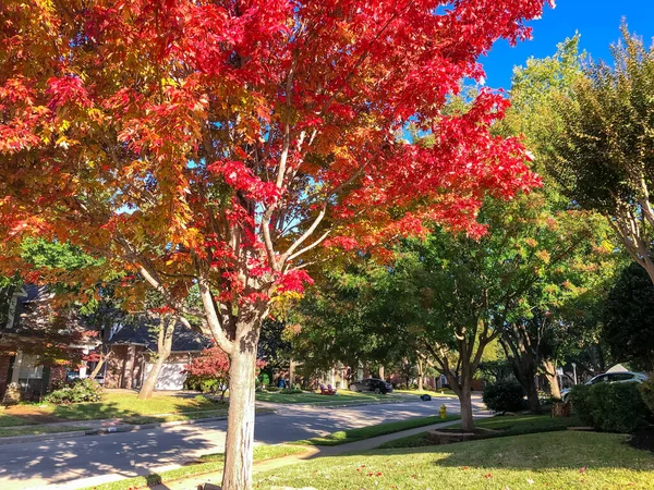 Schöne und friedliche Nachbarschaft in einem Vorort von Dallas, Texas, USA während der Herbstsaison — Stockfoto