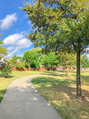 Teksas, ABD 'deki yerleşim parkında ve banliyö evlerinde olgun meşe ağaçları olan S kıvrımlı bir patika.