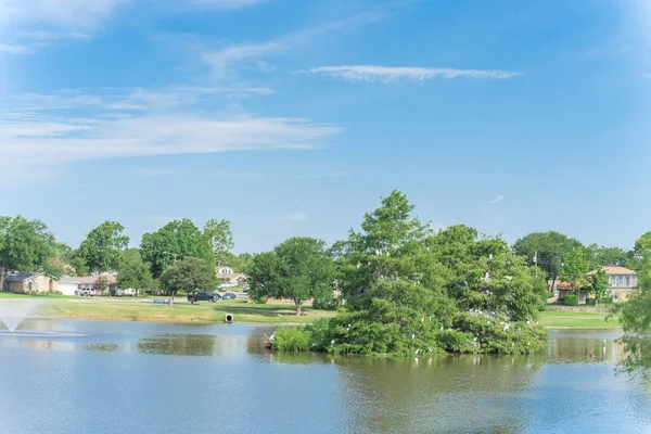 Kleiner Teich Mit Zypressen Und Wohnhaus Hintergrund Silberreiher Ardea Alba — Stockfoto