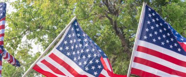 Panorama, Dallas, Teksas, Amerika yakınlarındaki barışçıl bir protestoda yeşil ağaçlı Amerikan bayrakları sallayarak yukarı doğru bakıyor. Gururla yürü, miting, vatansever, protesto konsepti