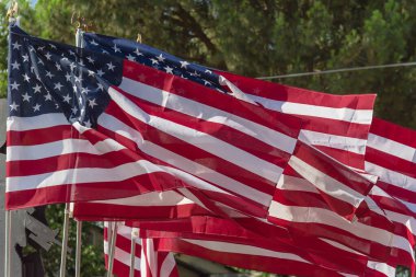 Dallas, Teksas, Amerika yakınlarındaki barışçıl bir protestoda yeşil ağaçlı Amerikan bayrakları sallıyor. Gururla yürü, miting, vatansever, protesto konsepti