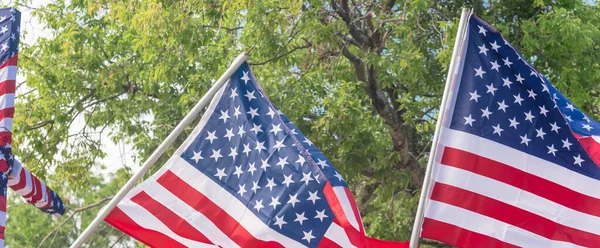 Panorama View Upward View Waving American Flags Green Trees Background — Stock Photo, Image