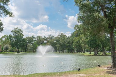 Houston, Teksas, Amerika 'nın banliyölerindeki yerleşim parkında ördek yüzme ve aktif su çeşmesi olan küçük bir gölet..