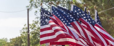 Panorama, Dallas, Teksas, Amerika yakınlarındaki barışçıl bir protestoda yeşil ağaçlı Amerikan bayrakları sallayarak yukarı doğru bakıyor. Gururla yürü, miting, vatansever, protesto konsepti