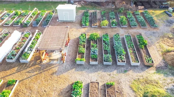 Uitzicht Vanuit Lucht Houten Pergola Een Kleine Schuur Buurt Van — Stockfoto