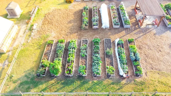 Uitzicht Vanuit Lucht Houten Pergola Een Kleine Schuur Buurt Van — Stockfoto