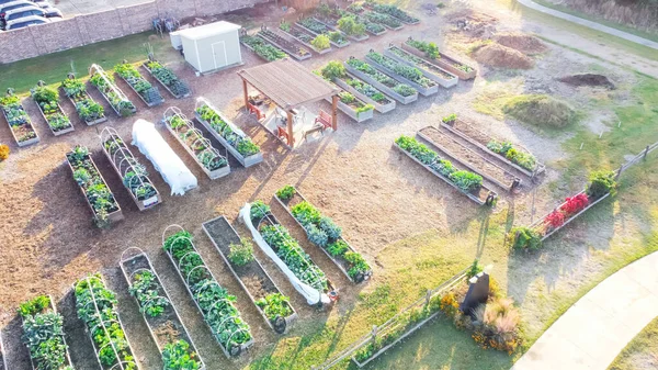 Vue Aérienne Pergola Bois Petit Hangar Près Une Rangée Lits — Photo