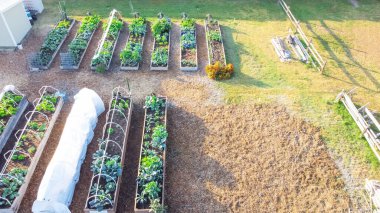 Hava manzaralı cam yeşili bir bahçesi ve Dallas, Teksas, Amerika 'da küçük bir kulübesi var. PVC soğuk çerçeve yapısına sahip yükseltilmiş yataklar.