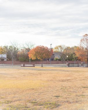 Dallas, Teksas, ABD yakınlarındaki renkli sonbahar yeşillikleri ve sıra sıra lüks evler ile park çayırında gün batımı