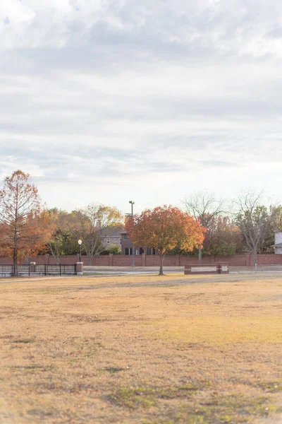 Puesta de sol sobre el prado del parque con follaje de otoño colorido y fila de casas de lujo cerca de Dallas, Texas, EE.UU. — Foto de Stock