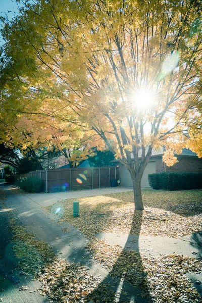 Осінній день з проривом сонця через жовте осіннє листя вздовж приміського провулка в Техасі, США — стокове фото