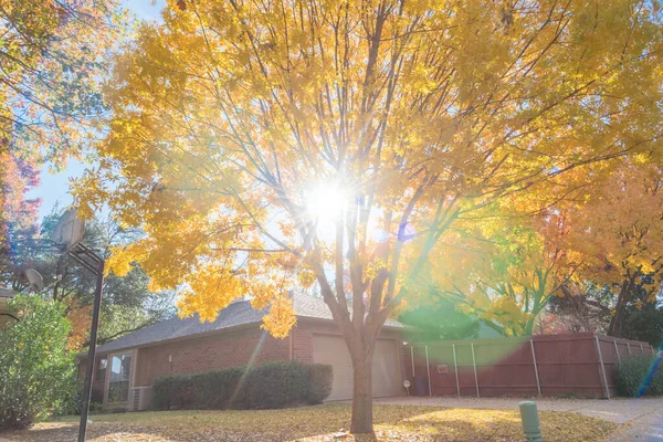 Día de otoño con el sol estalló a través de follaje de otoño amarillo a lo largo de callejón trasero suburbano en Texas, EE.UU. — Foto de Stock