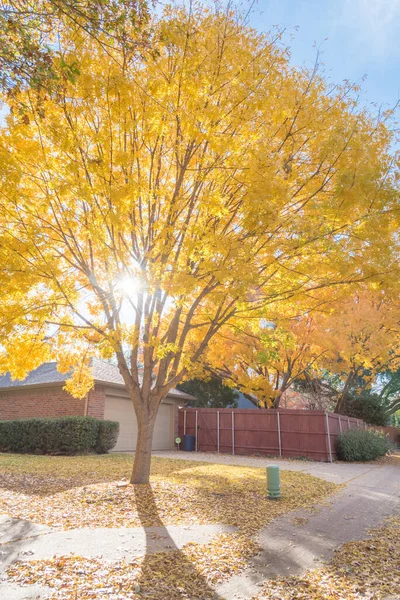 Dia ensolarado do outono com folhagem amarela bonita da queda ao longo do beco traseiro suburbano em Texas, EUA — Fotografia de Stock