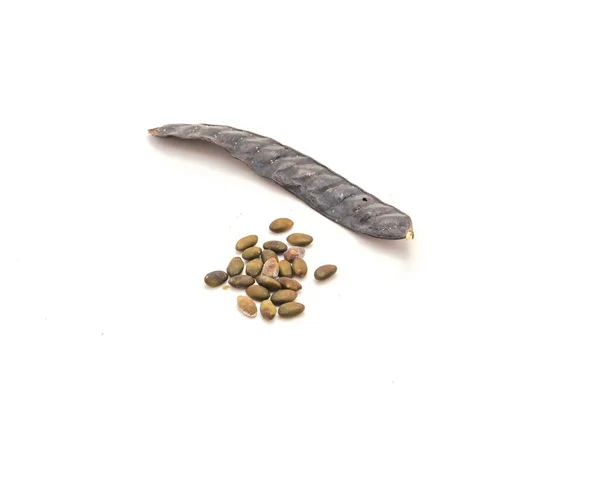 Albizia Lebbeck Dlouhé Ploché Suché Lusky Semeny Izolované Bílém Pozadí — Stock fotografie