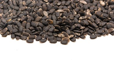 Luffa tohumları izole edilmiş beyaz arka planda fotokopi alanı ile yayılıyor. Tedavi edilmemiş organik lif luffa aegyptiaca ve Luffa acutangula sebze tohumları ekime hazır.