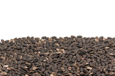 Luffa tohumları izole edilmiş beyaz arka planda fotokopi alanı ile yayılıyor. Tedavi edilmemiş organik lif luffa aegyptiaca ve Luffa acutangula sebze tohumları ekime hazır.