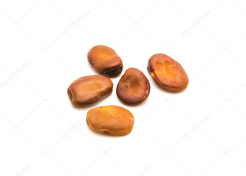 Five fava beans or broad beans isolated on white background. Homegrown non treated faba bean seed read for planting.