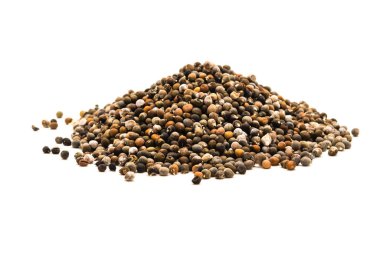 Beyaz arka planda izole edilmiş ev yapımı bamya tohumları. Organik ve tedavi edilmemiş bayanlar parmakları Okro, Abelmoschus esculentus, ochro ekime hazır.