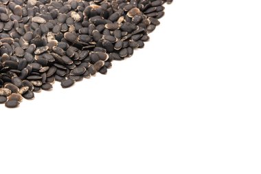 Luffa tohumları izole edilmiş beyaz arka planda fotokopi alanı ile yayılıyor. Tedavi edilmemiş organik lif luffa aegyptiaca ve Luffa acutangula sebze tohumları ekime hazır.