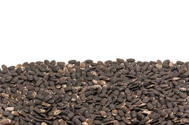 Luffa tohumları izole edilmiş beyaz arka planda fotokopi alanı ile yayılıyor. Tedavi edilmemiş organik lif luffa aegyptiaca ve Luffa acutangula sebze tohumları ekime hazır.