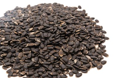 Beyaz arka planda izole edilmiş büyük bir luffa tohumu yığını. Tedavi edilmemiş organik lif luffa aegyptiaca ve Luffa acutangula sebze tohumları ekime hazır.