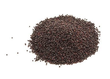 Bok Choy tohumları beyaz arka planda izole edilmiş. Ev yapımı ve aile yadigarı pak choi, veya pok choi, Çin lahana tohumları ekime hazır.