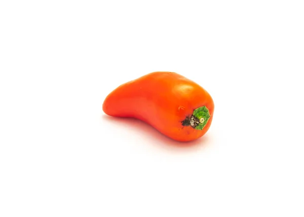 Een Levendige Rode Mini Zoete Peper Isoleren Witte Achtergrond Kleine — Stockfoto