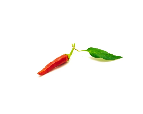 Ripe Thai Hot Chili Pepper Leaves Isolated White Background Fresh — Stock Photo, Image