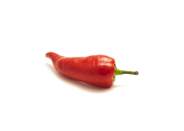 Enkele Rijpe Fresno Chili Fresno Chili Peper Fruit Geïsoleerd Witte — Stockfoto