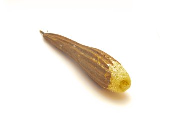 Soyulmamış luffa süngeri beyaz arka planda izole edilmiş. Cildinizi temizlemek ve cildinizi temizlemek için kullanılan doğal banyo lifleri.